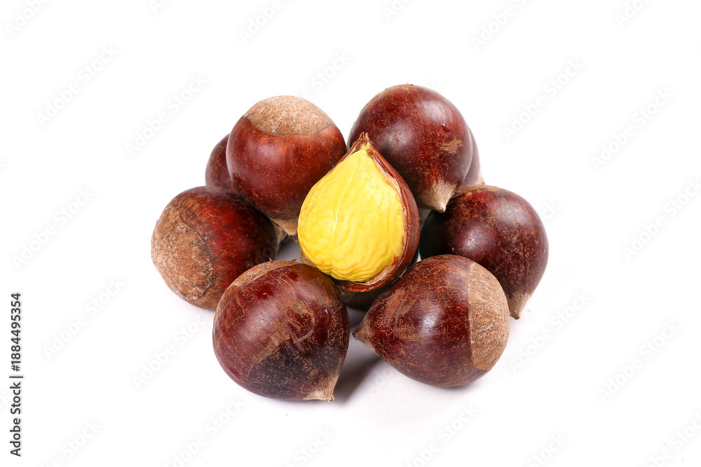 Obraz premium Fresh Raw Chestnuts from Jianou, Fujian - Alpine Variety