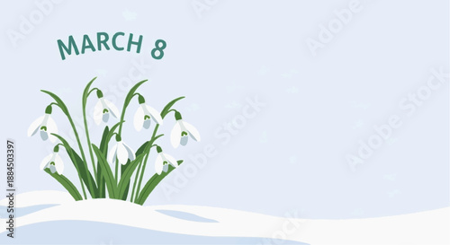 Minimalistic illustration of snowdrops with "March 8" text on a light background