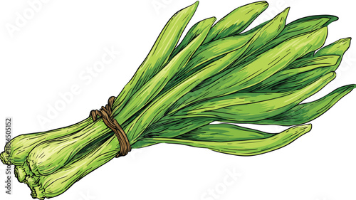 Colorful Leek Clipart Vector Icon Sticker Illustration for Designs