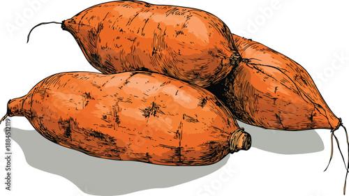 Colorful Cartoon Style Vector Illustration of Yams, Fun and Whimsical Vegetable Clipart