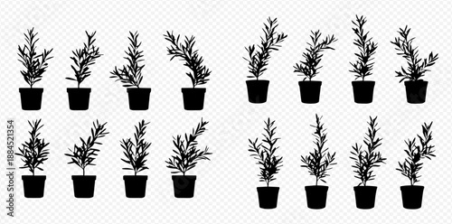 Set of potted plant silhouettes, various indoor plants in black pots, isolated on transparent background, for design elements and decoration.