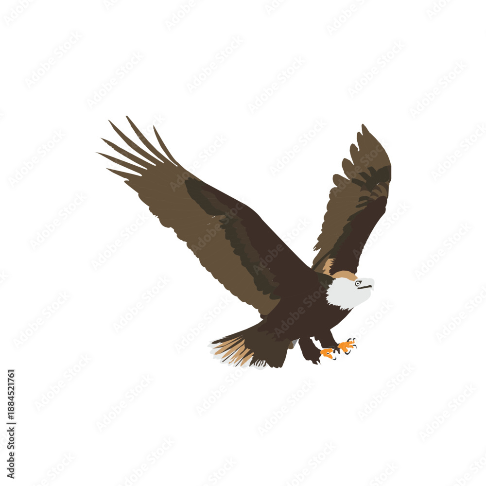 Fototapeta premium Eagle Icon, Free Eagle Victor, Free Eagle Vector, Eagle original Color