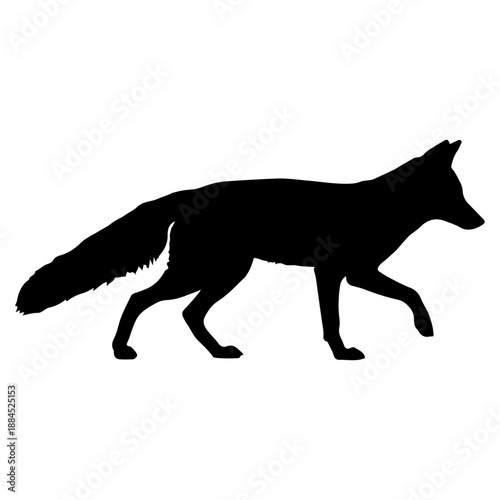 Silhouette of a fox walking with its tail held high Vector