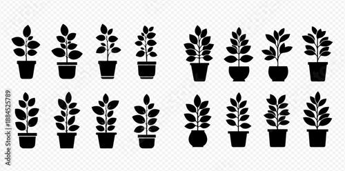 Set of potted plant silhouettes, including various houseplants and garden foliage designs, on a transparent background.