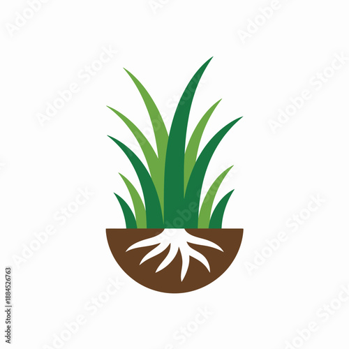 Vibrant green grass with strong roots in a cross-section of rich brown soil illustration