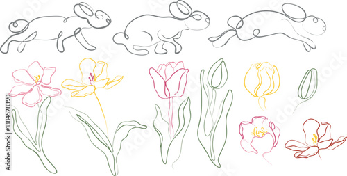 set with rabbits in different poses and tulip buds in line art style with contours of different thickness, for Easter cards, posters or other holiday designs