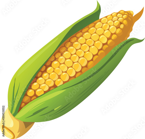 A vibrant illustration of a single ear of fresh yellow sweet corn