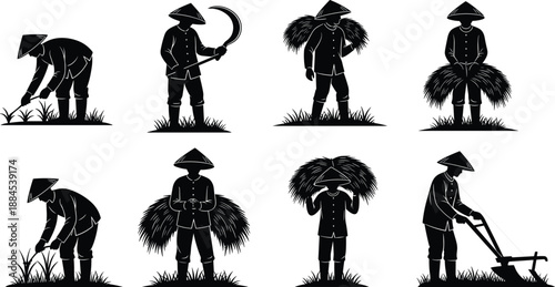 Farmer Agriculture Farming Rural Harvest Labor Worker Silhouette Field Crop Rice Traditional Asian Countryside Village Lifestyle Culture Work Tools Hat