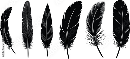 Feather Icons Set Silhouette Collection Black White Vector Illustration Nature Bird Plumage Quill Decorative Boho Design Element Isolated Minimal Graphic