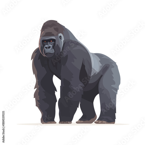 Gorilla — flat 2D vector artwork created in a clean, modern, and minimal style on white background.