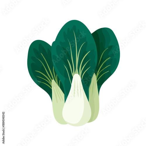 Flat 2D minimalist illustration of a Bok Choy, modern vector design with white background.