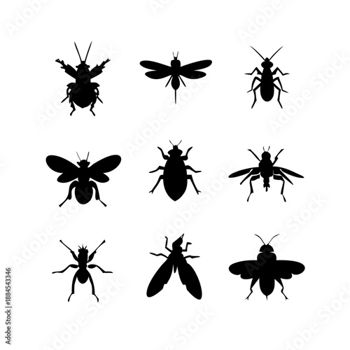 Insect silhouettes collection, fly mosquito bee species, winged bug icon, vector illustration, nature art, entomology design, wildlife fauna, pest control graphic See Less
