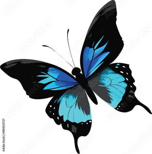 A stunning blue butterfly gracefully displays its vibrant wings in a natural