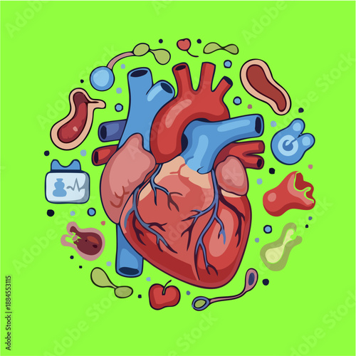 Stylized human heart illustration surrounded by various anatomical and medical elements on a vibrant green background, representing health and biology.