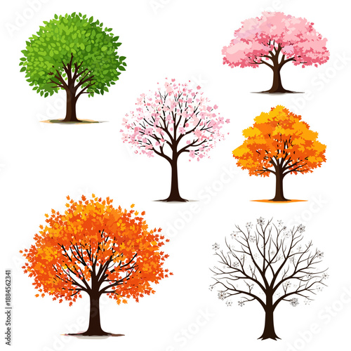 Collection of deciduous trees depicting the four seasons from lush green summer to colorful autumn and bare winter branches.