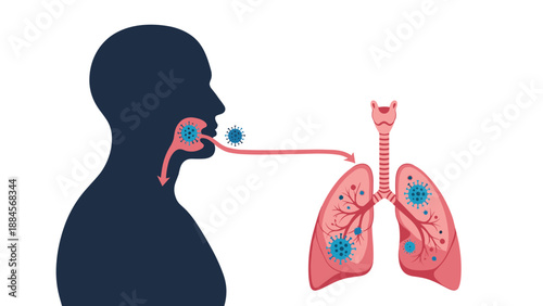 Informative medical diagram showing the pathway of viral infection from the mouth into the human respiratory system and lungs for health education.