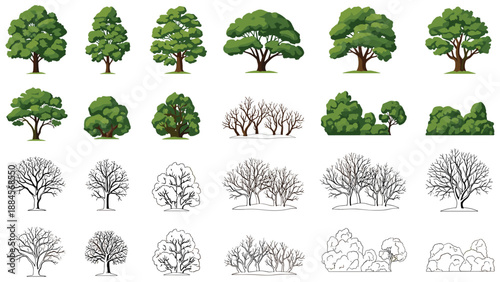 Comprehensive set of various tree species illustrated in different artistic styles including full color, detailed line art, and simple silhouettes.