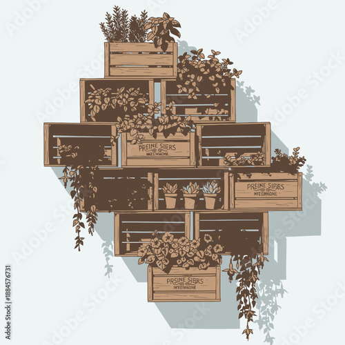 Vector Art of Vertical Garden Made of Upcycled Wooden Wine Crates Stacked as Cubbies