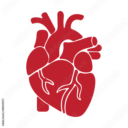Red silhouette icon of human anatomical heart organ internal medicine concept isolated