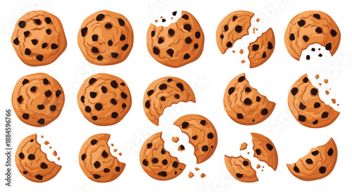 Variety of chocolate chip cookies in whole and bitten states are illustrated for bakery, snack, and food enjoyment themes.