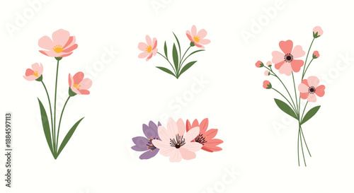 Set of colorful wild flowers including pink and purple varieties with green leaves for floral decoration or nature illustrations.
