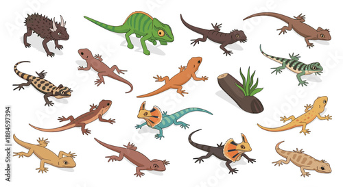 Extensive set of various lizard species illustrations, showing many colors and body shapes of reptiles in a detailed and friendly cartoon style.