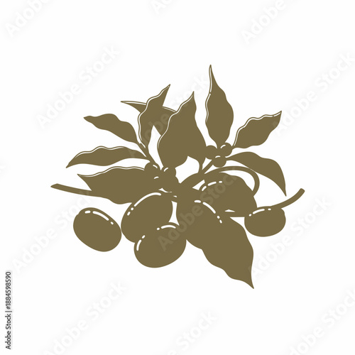 Coffee Branch With Beans And Leaves Silhouette - Vector Illustration