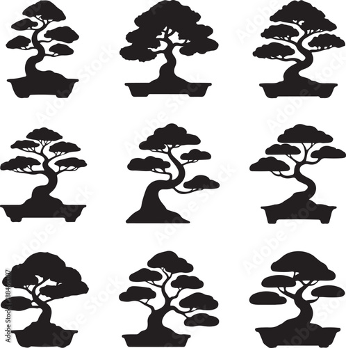 bonsai trees in pots on white background