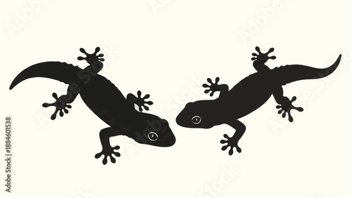 Two black geckos facing each other on a cream background