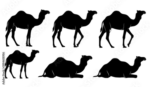 Camel Silhouette Vector Art Set with Standing and Walking Poses for Desert and Travel Design