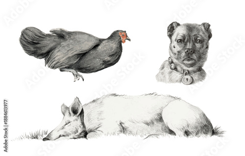 Vintage-style vector illustration of a dog, a sleeping pig, a hen. Painting, pencil sketch.