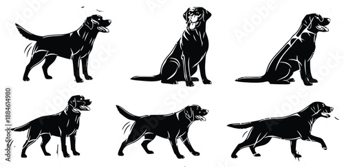 Adobe Illustrator Artwork