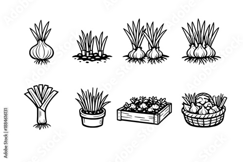 Vegetable Icon Set: Including onion, garlic, leeks, chives, plants, basket, pot, harvest, and more.