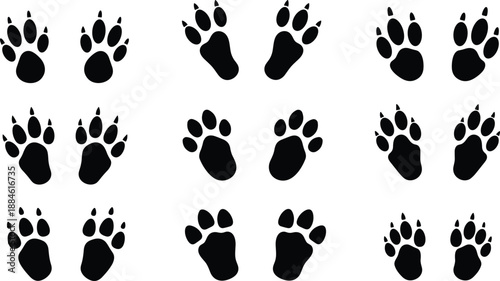Collection of Wild Animal Paw Prints and Wildlife Tracks Silhouette Icons Isolated on White Background for Nature Tracking Forest Exploration and Education Graphic Design