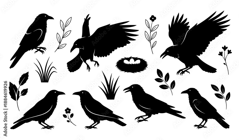 Obraz premium Minimal Raven and Crow Silhouette Vector Set with Nests Eggs Grass Leaves and Flowers
