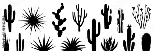Collection of black silhouette desert plants and cacti on white background, vector graphic set with various shapes and styles