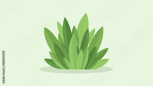 A cluster of green leaves with a subtle shadow below