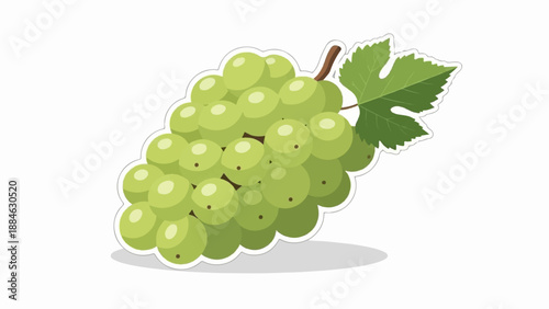 A cluster of green grapes with a leaf and stem