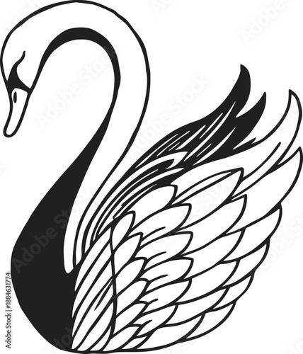 Elegant Swan: A graceful swan glides through the water, its pristine feathers and swan-like posture exuding tranquility and beauty.