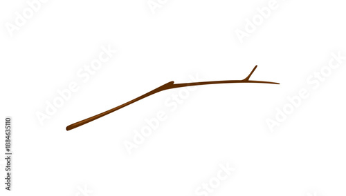 Single Dry Tree Branch Isolated on a White Background with Natural Texture