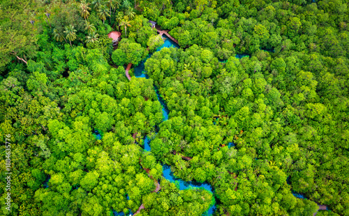 Aerial view image of Tha Pom Klong Song Nam mangrove forest or Emerald pool is unseen pool in mangrove forest at Krabi, Thailand