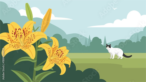 Yellow lilies bloom in a field with a black and white cat standing