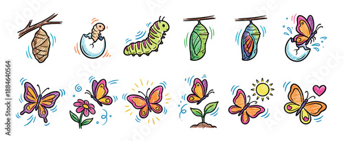 Butterfly life cycle illustration set showing metamorphosis from egg to caterpillar, chrysalis, and colorful flying insect in a cute hand-drawn doodle style for learning