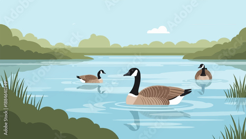 Three geese swim in a calm blue lake with green hills in background