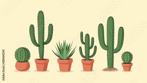 Variety of green potted cacti and succulent plants arranged horizontally
