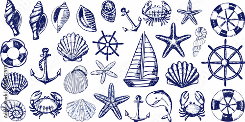 A collection of nautical illustrations featuring shells crabs anchors and ships