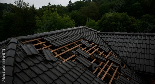 Wallpaper Mural Damaged black tiled roof with exposed wooden beams and missing shingles in forested area damaged roof Torontodigital.ca