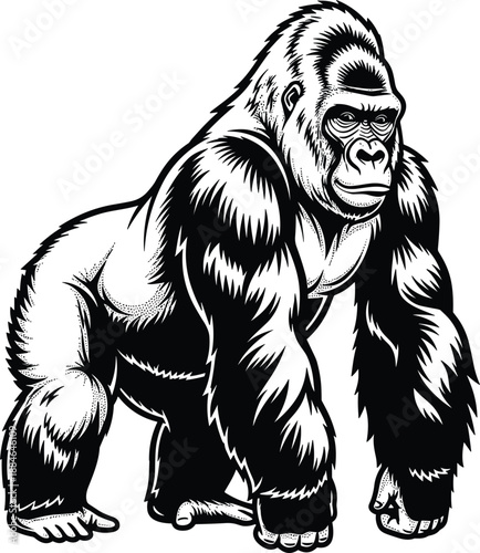 Powerful gorilla illustration in black and white, muscular wild animal vector art for wildlife logos, strength branding, tattoo designs, nature themed graphics