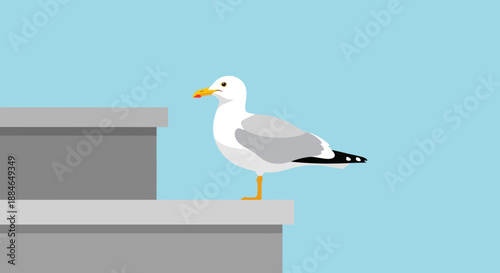 A seagull camar from the Laridae family perched on a grey concrete parapet