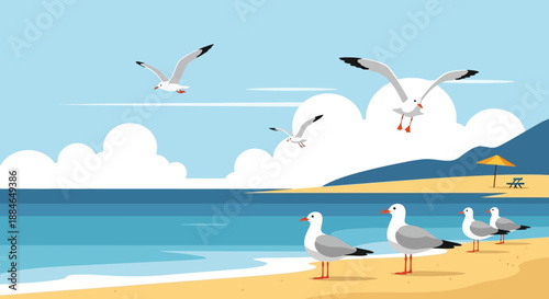 Seagulls flying over a sandy beach with Laridae standing on the shore near the calm sea and clear blue sky with white clouds